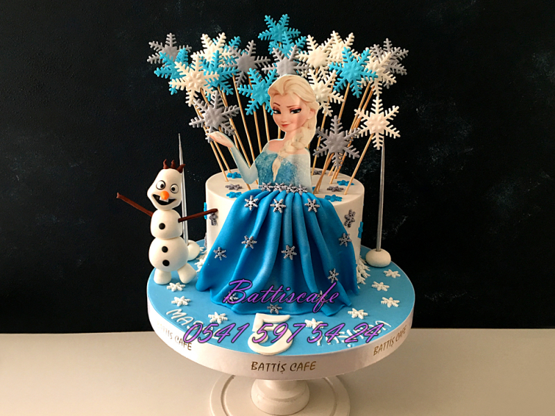 Elsa Doğum günü Pastası