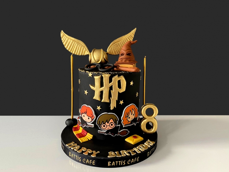 Harry Potter Doğum günü Pastası