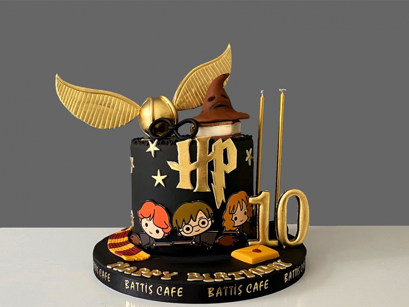 Harry Potter doğum günü pastası