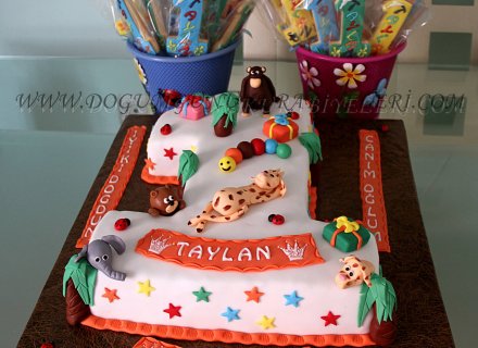1 Yaş Pasta Ve Kurabiyeleri Taylan
