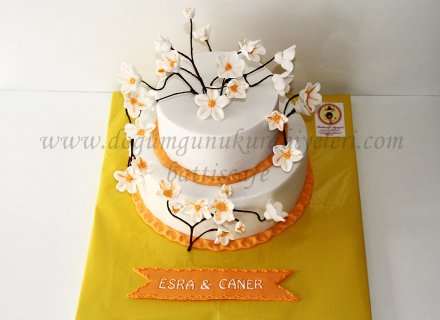 Nişan Pastası