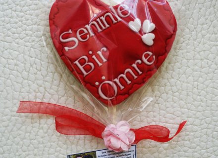 Ayşegül Hanımdan Sinan Beye