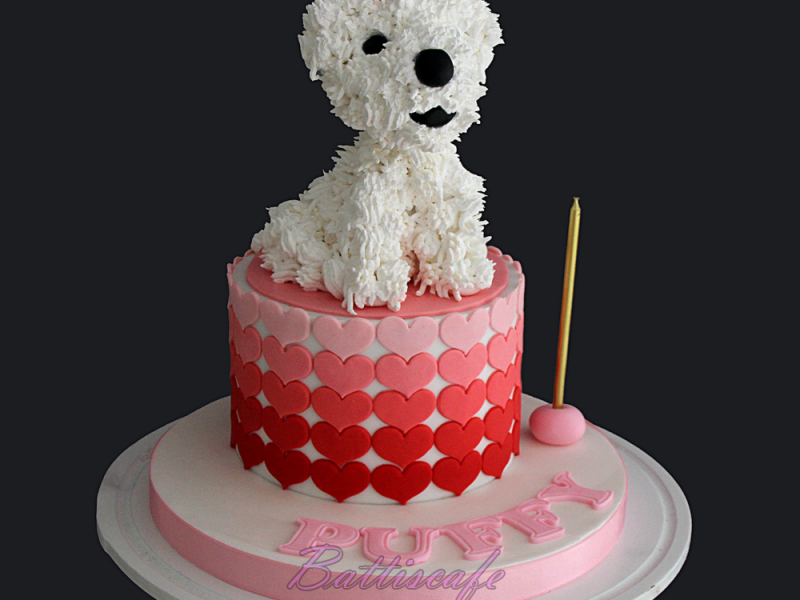 Köpekli Pasta